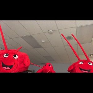 Meet your Posher, Mia